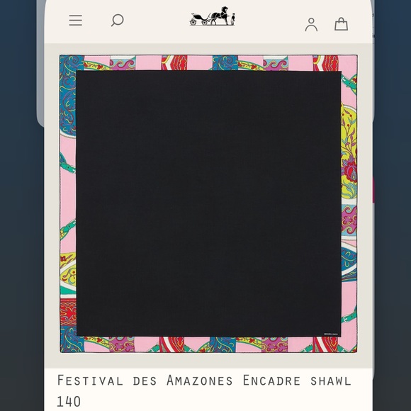 NWT Hermes Cashmere Shawl - Picture 2 of 13